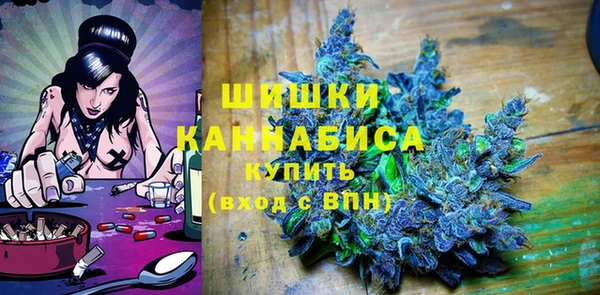 PSILOCYBIN Балабаново